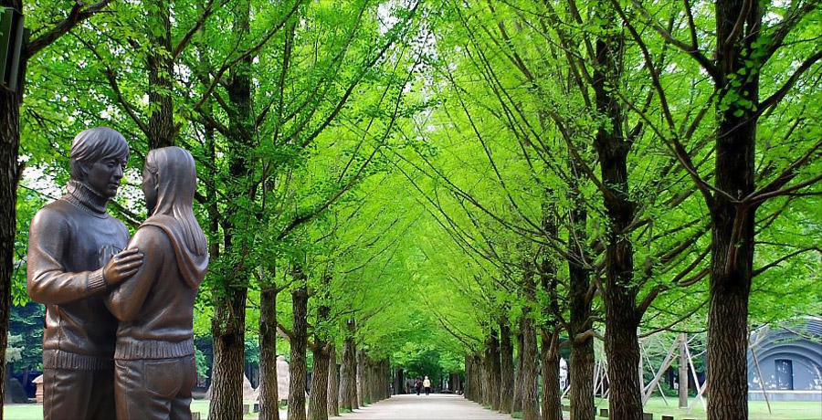 Dạo bước trên những con đường thơ mộng của đảo Nami